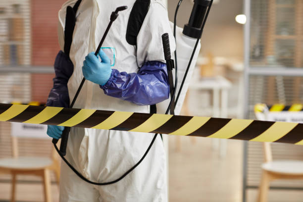 Professional Sewage Cleanup technician working in Florida, FL